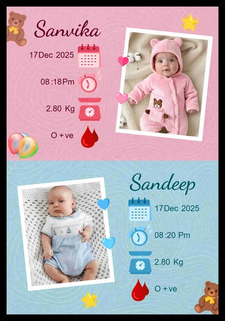 Personalized Twin Baby Memory Frame with Photos and Details